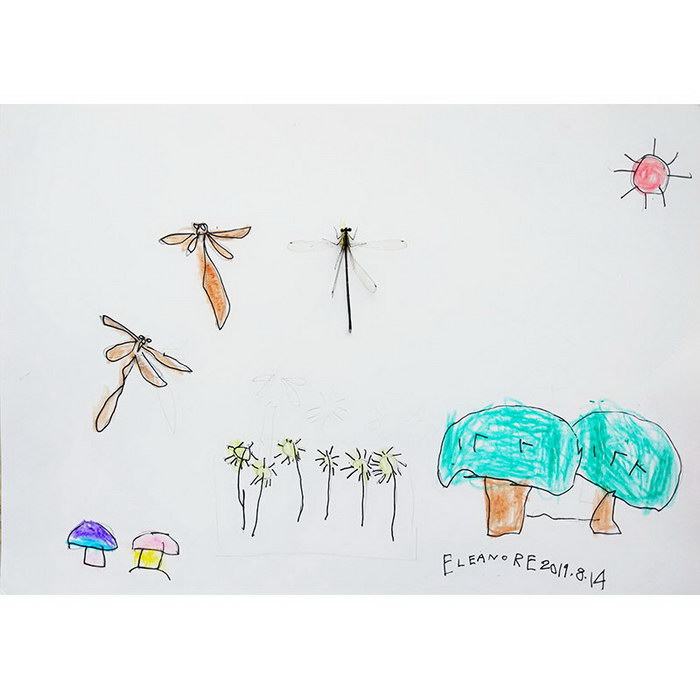 Insect Specimen - Caenagrion#Insect Painting#