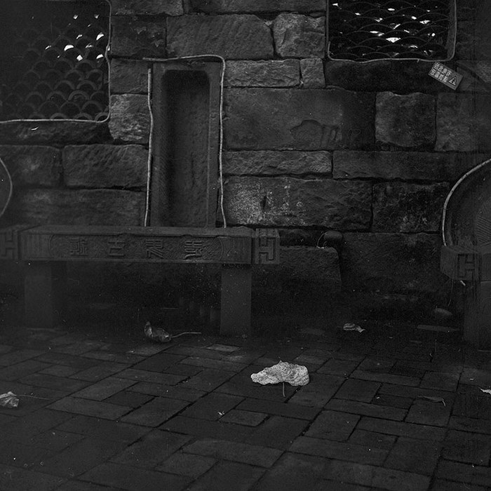 Oldman#Photography#Seagull 4A + GP3 100#