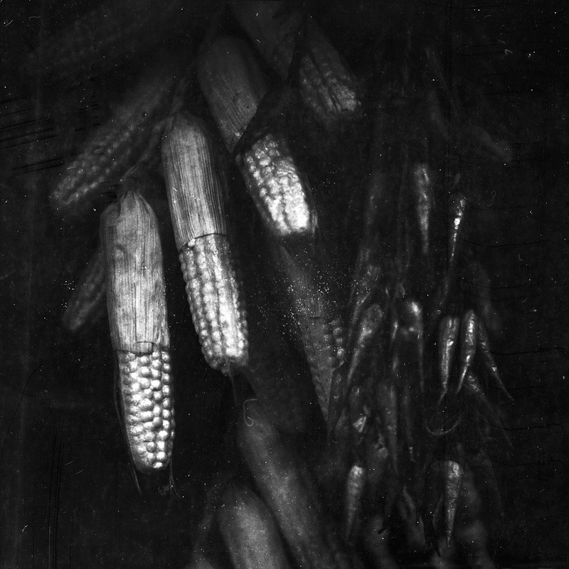 Photography20220417#Photography#