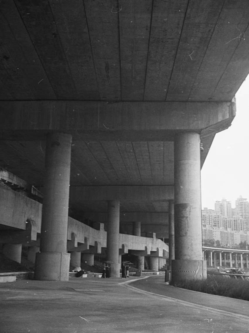 Photography202311-2#Photography#