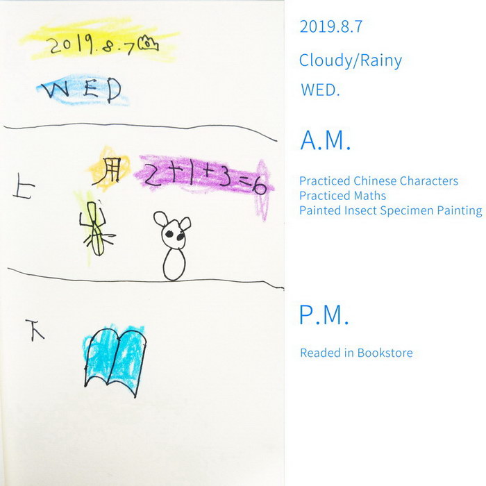 #Diary#Insect Specimen#